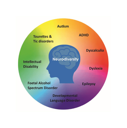 Infographic showing which conditions fall under the umbrella of neurodiversity. 